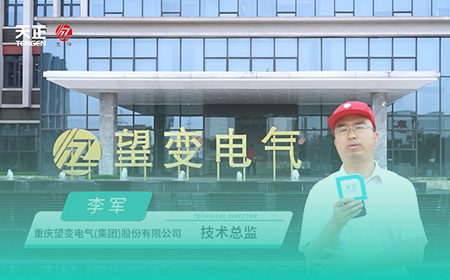 华体育hth官网入口x望变电气
